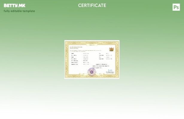 модерен стил хонгконг брачен шаблон Word и PDF шаблон